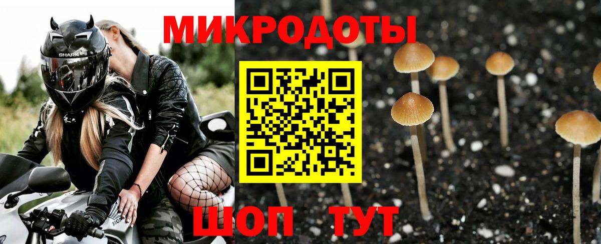 Галлюциногенные грибы ЛСД Саки